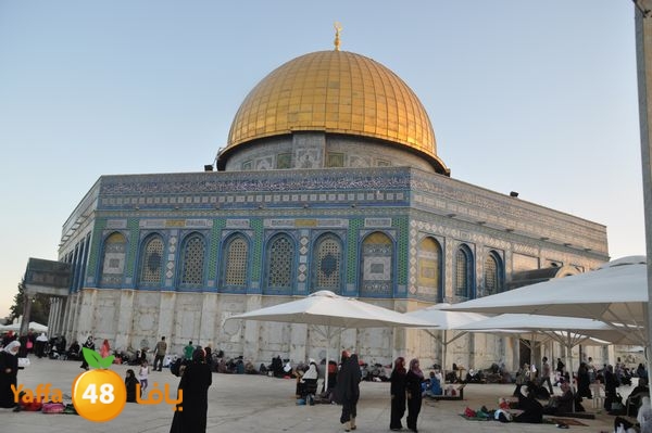 aqsa lud ahaly 712 (18).JPG